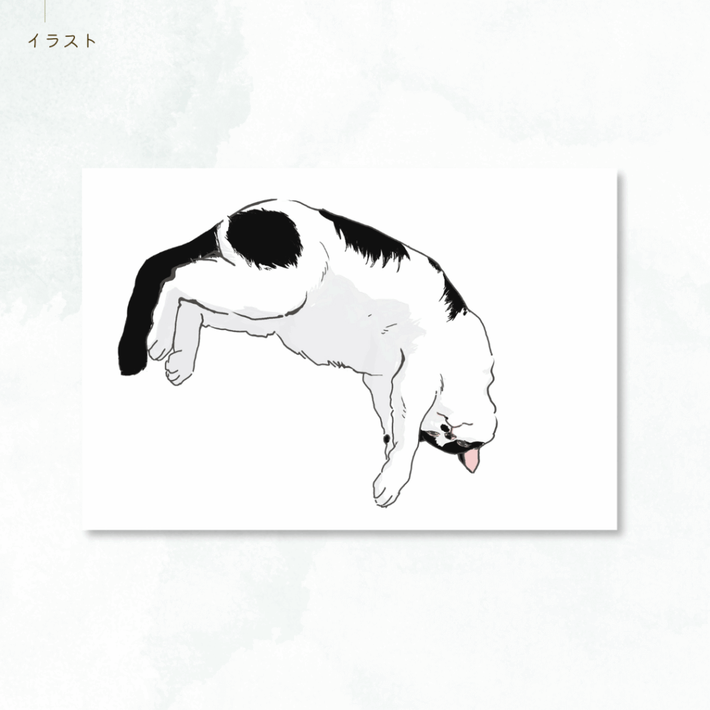 制作実績：イラスト